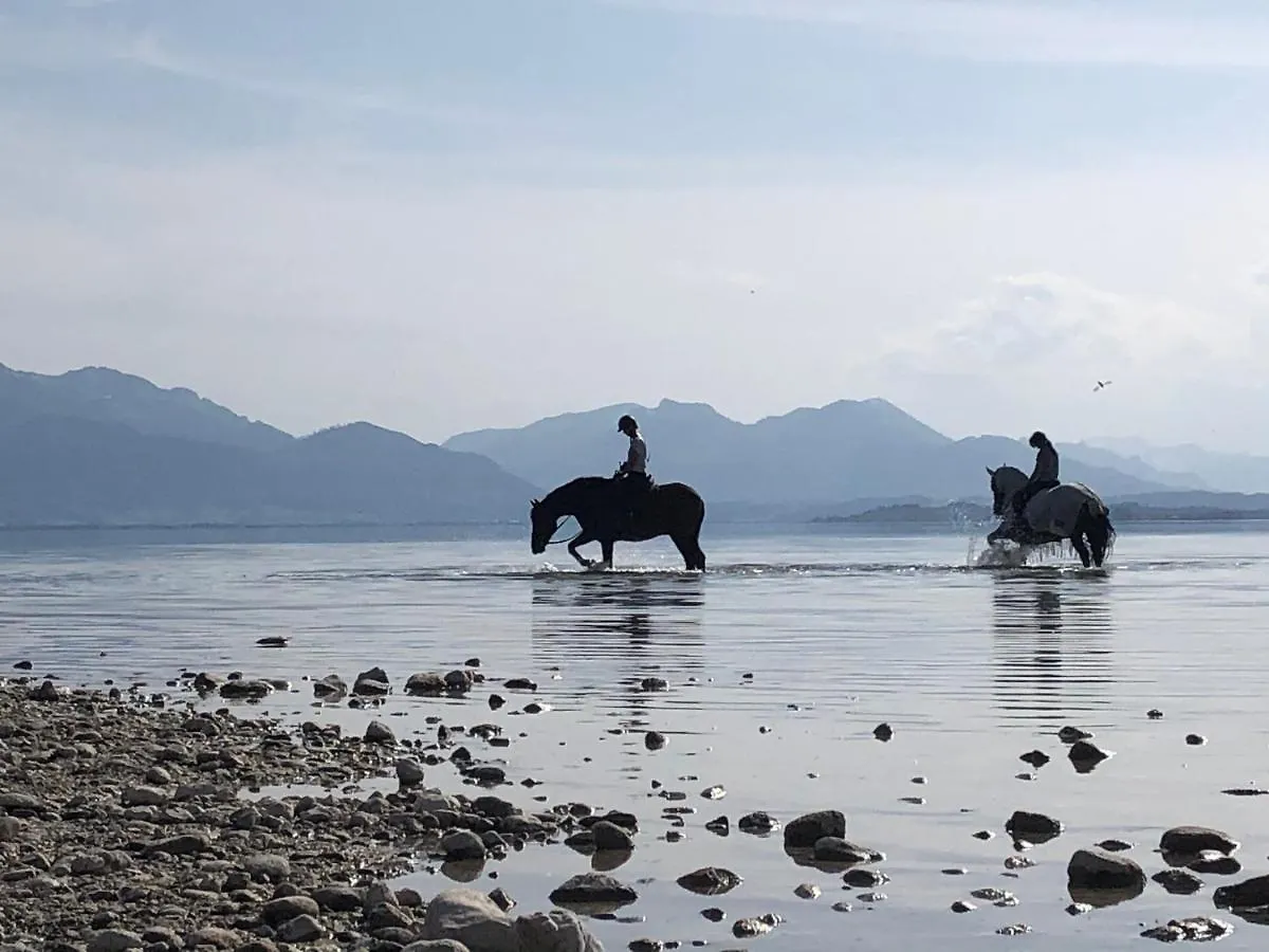 Ad Fontes Suite Mit Bergblick & Sauna Übersee